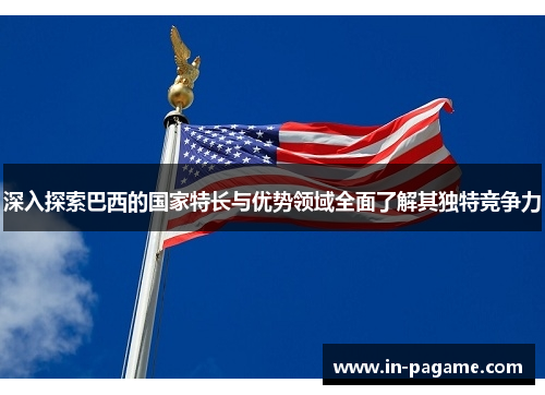深入探索巴西的国家特长与优势领域全面了解其独特竞争力 深入探索巴西的国家特长与优势领域全面了解其独特竞争力