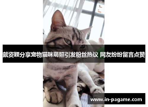 戴资颖分享宠物猫咪萌照引发粉丝热议 网友纷纷留言点赞