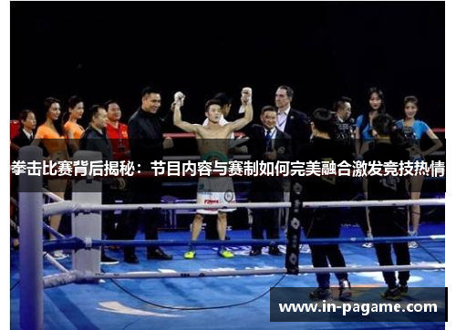 拳击比赛背后揭秘：节目内容与赛制如何完美融合激发竞技热情